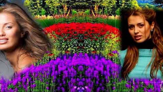 АЛЕКСЕЙ       РАДЖАБОВ       -    В МОЁМ    САДУ!