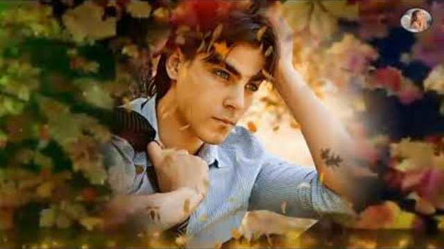 Михаил Кармаш  -   Разбудила меня ночь