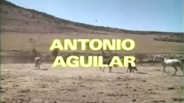 “El potro lobo gateado“ — Antonio Aguilar