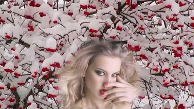 Markovich  -  Прилетели Снегири    Markovich