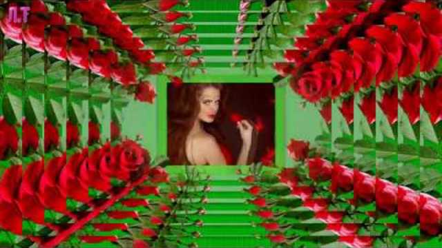 РОЗЫ ДЛЯ ТЕБЯ