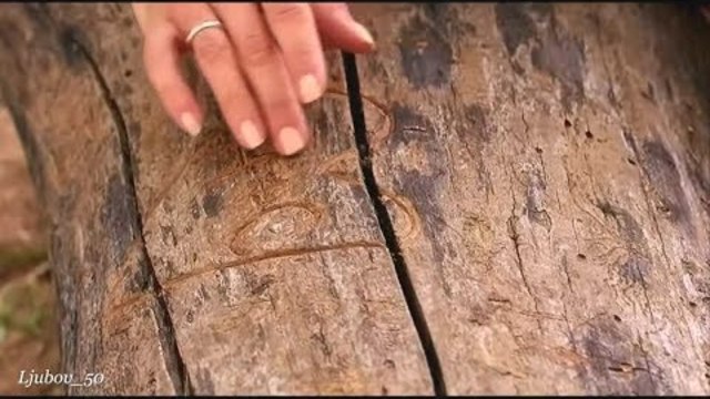 Алексей Маклаков  -   Вспомнить как всё было мило