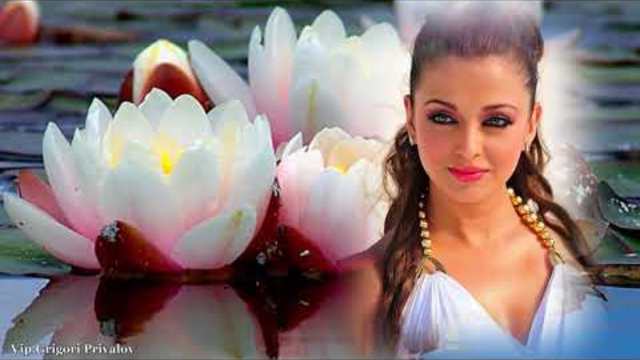 Александр Шапиро   -    Белые цветы