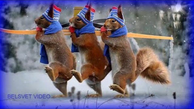 Зажигаем! Качается земля ! Шуточный клип!