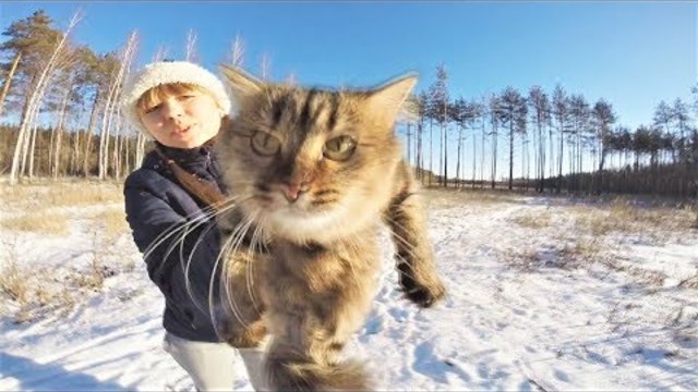 ПРИКОЛЫ С ЖИВОТНЫМИ 2018 Funny And Cute Animals Videos Compilation