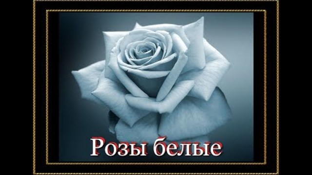 Евгений Коновалов   -   Розы белые