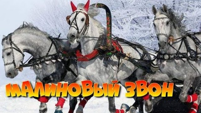 Малиновый звон фото