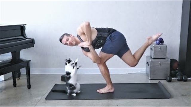 КОТОЙОГА | ЙОГА ЧЕЛЛЕНДЖ С КОТАМИ | Koshkina YOGA CHALLENGE | Cat Yoga Challenge
