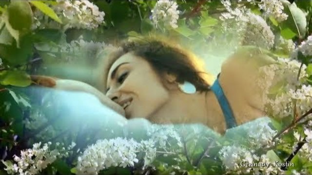 Светлана Тыщенко    -    ЧЕРЕМУХИ БУКЕТ