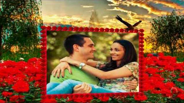 Красные розы