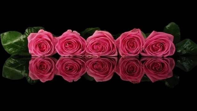 🌹❤️ Красиви рози и акордеон! ... (Wieslawa Dudkowiak) 🌹❤️