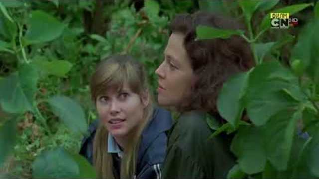 ГОРИЛА В МЪГЛАТА 3 ЧАСТ (1988) г. БГ АУДИО ФИЛМ, 2017