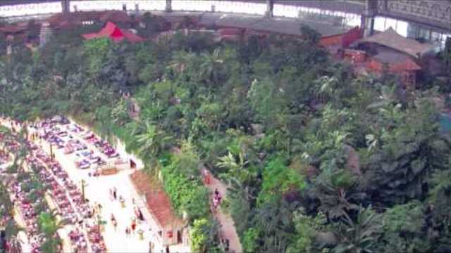 Тропически остров в Германия-Tropical Islands