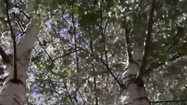 ЗА ТИХОЙ РЕКОЮ