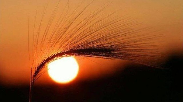 Десет интересни факта за Слънцето