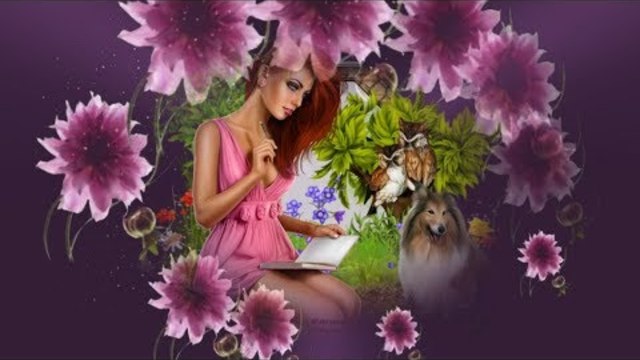 Проект футажи - рамки