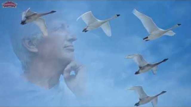 АЗАМАТ ИСЕНГАЗИН - ЛЕБЕДИ МОИ