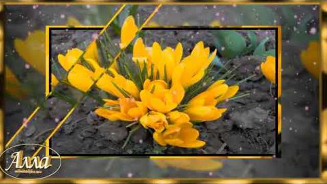 ДЕНЬ ПОДСНЕЖНИКА! КРАСИВАЯ МЕЛОДИЯ!