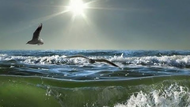 Николая Берег  -   Берег счастья