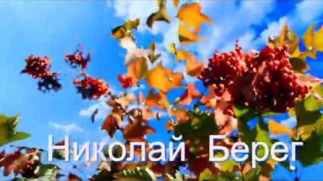 Николай  Берег   -    КАЛИТОЧКА