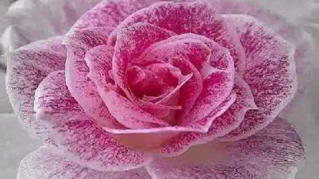 ИГОРЬ АШУРОВ  -  МОЯ ЛЮБОВЬ ПРИШЛА