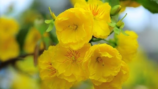 Я в нежности твоей купаюсь