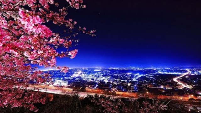 НОЧЬ   ЛЮБВИ !