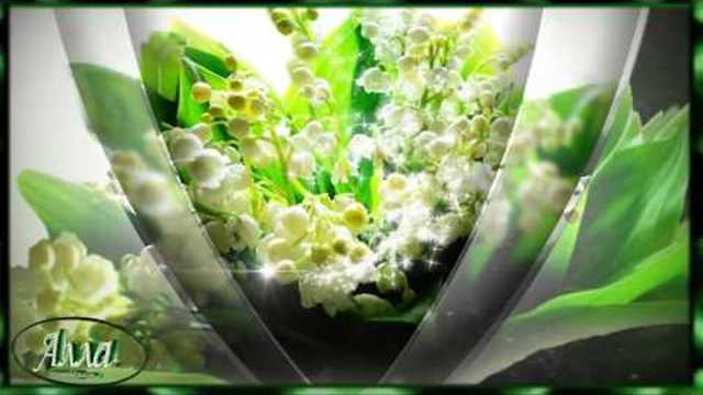 МЕЛОДИЯ     ДЛЯ    ДУШИ !