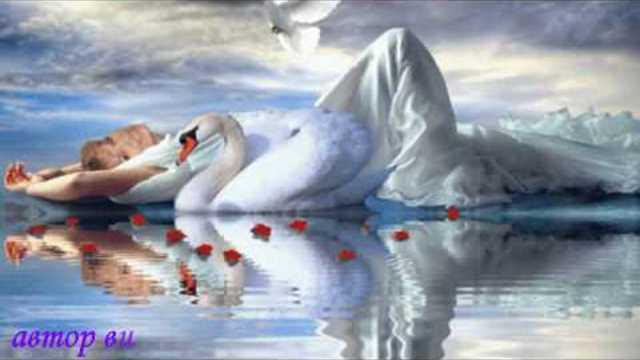 БЕЛЫЙ ЛЕБЕДЬ