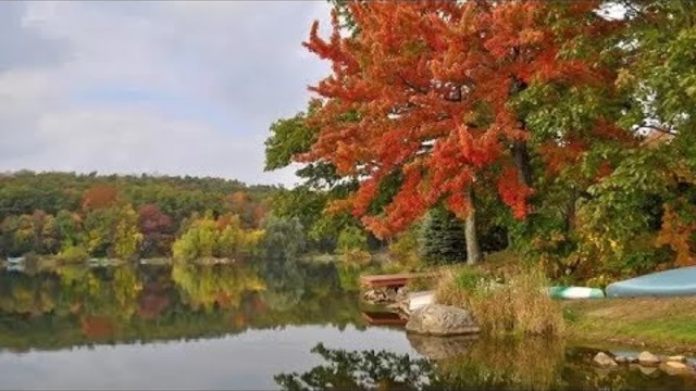 Валерий Власов.   Этой песне равных нет!