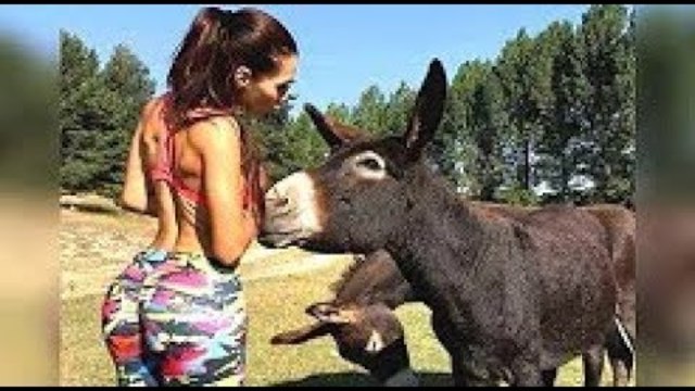 Такого никто не ОЖИДАЛ! Нежданчики или Вот это Поворот, Приколы До СЛЁЗ