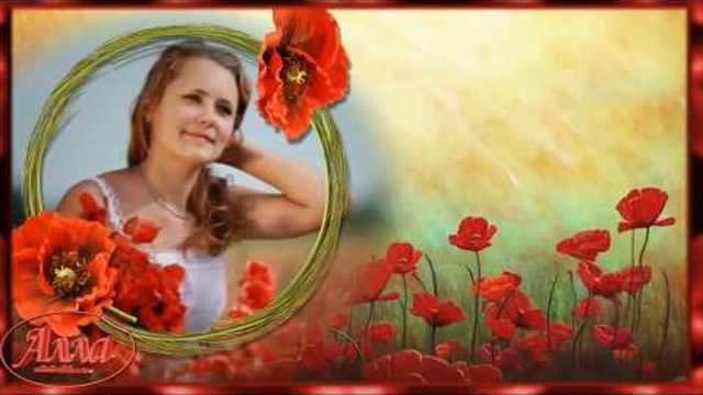 КРАСНЫЕ МАКИ, СОЛНЦЕ НА ЗЕМЛЕ !