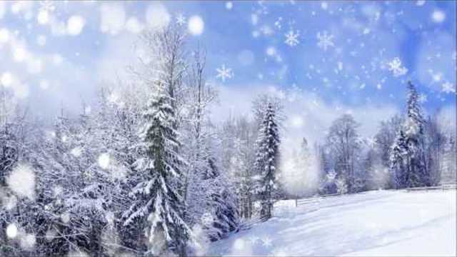 Альбина Десницкая —  Зима-Весна