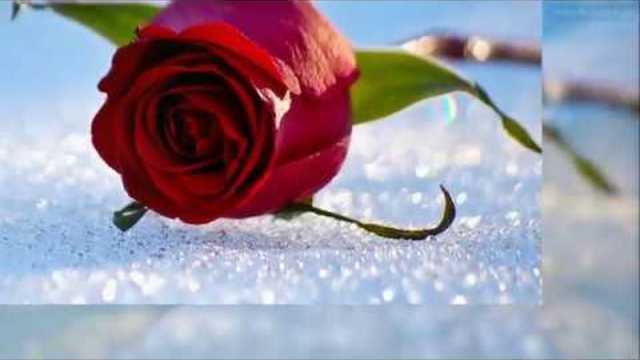 Светлана Голко —  Это все для Вас