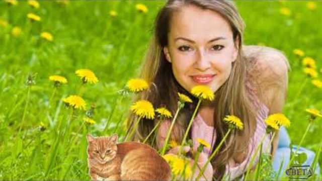 Феликс Царикати - Одуванчики