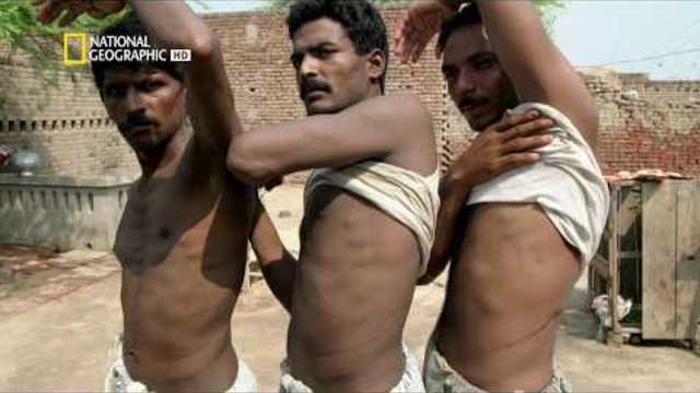 Подземен свят ООД: Търговията с органи