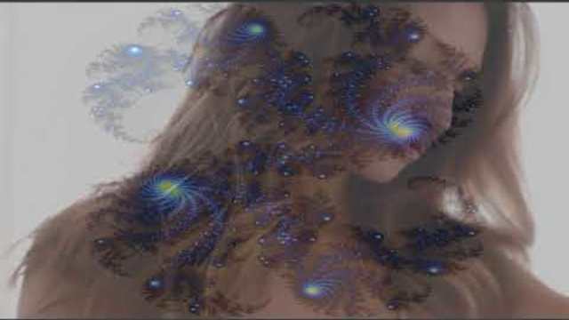 Валерий Палаускас   -   ЖАР-ПТИЦА