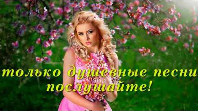 ШИКАРНЫЕ ДУШЕВНЫЕ ПЕСНИ ШАНСОНА