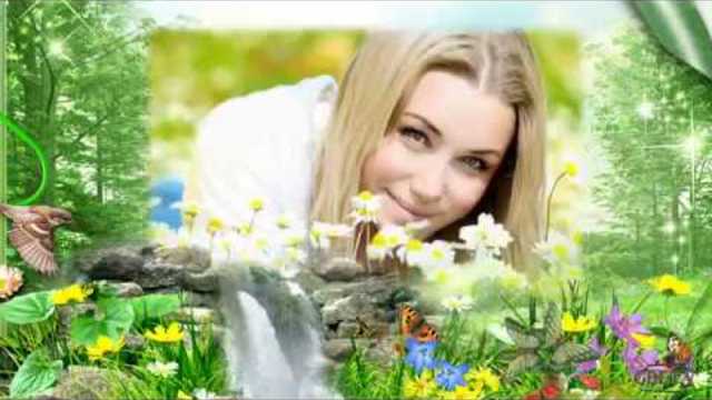 Константин Дерр  -  Ромашка Белая