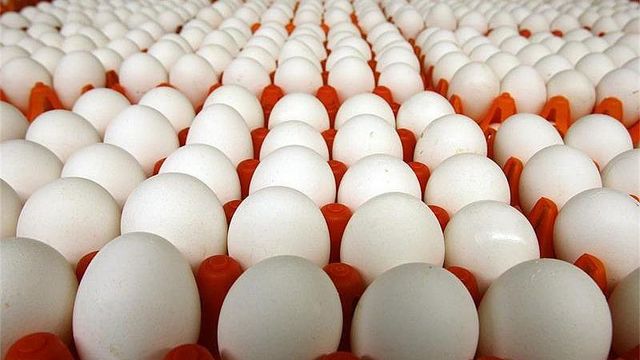 Внимание! Изтеглят над 1 милион яйца от пазара заради птичи грип