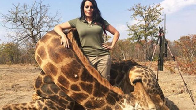 Жестокост! Жена уби невинен жираф в Африка и се снима с него ! American woman poses for 'rare giraffe' in South Africa