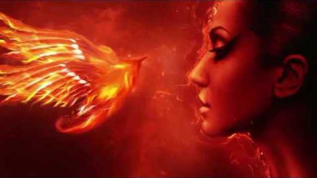 Дмитрий Метлицкий - Феникс