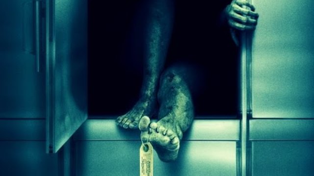 Бесен Призрак Вилнее В Пернишката Морга - Mad Ghost Raging In The Pernik Morgue