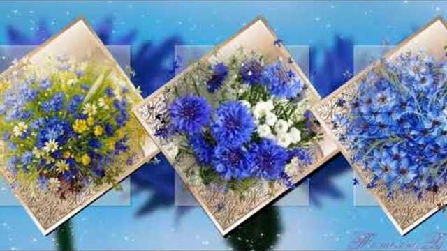 Александр Иванов  -  Полевые цветы