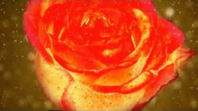 Татьяна Маркова   -   У розы женская судьба