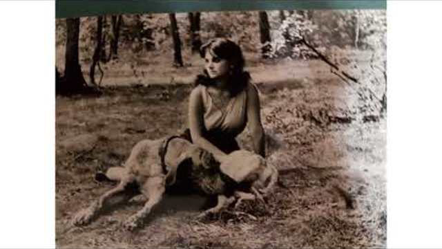 Един неразделен клас