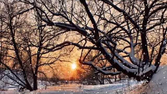 Валерий Новиков —  Дождись Меня