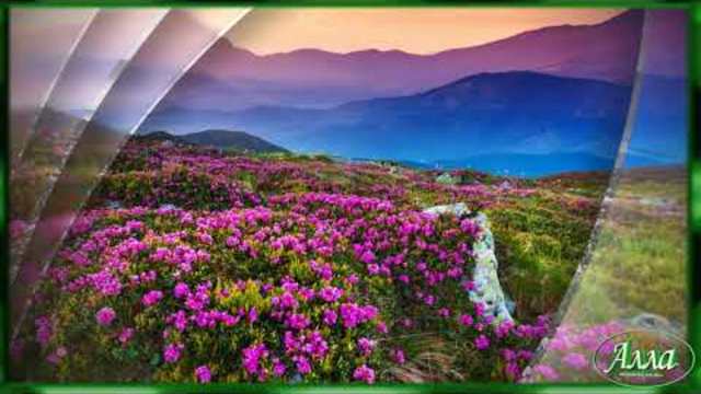 НЕВЕРОЯТНО КРАСИВАЯ МЕЛОДИЯ ДЛЯ ДУШИ !