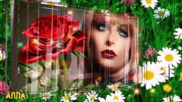 ВИКТОР КОРОЛЕВ  -   ДВЕ РОМАШКИ !