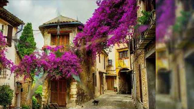 Светлана Голко   -   Желаю Счастья